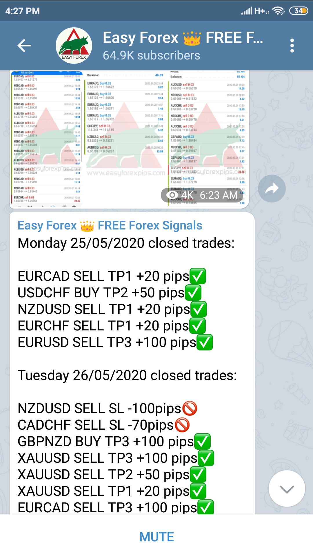 EASY FOREX PIPS FREE CHANNEL SIGNALS RESULTS