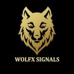 WolFX Signals 